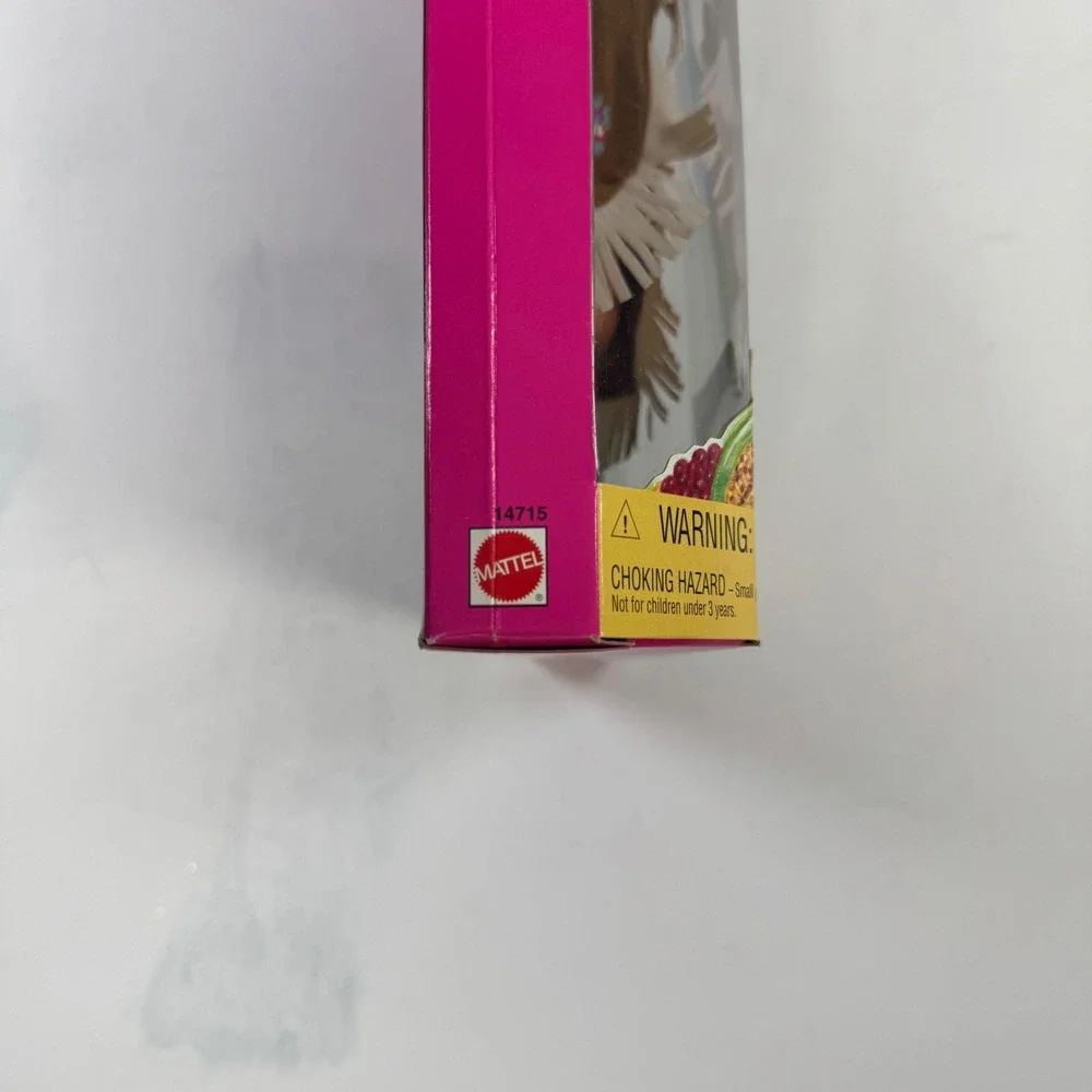 1995 American Indian Barbie American Stories Collection Collector Edition 14715